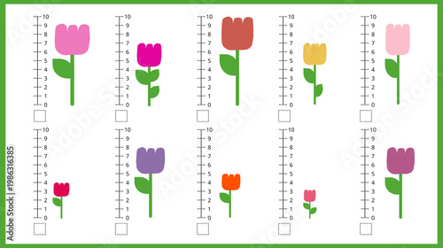 COLORFUL TULIP HEIGHT COMPARISON ACTIVITY FOR KIDS WITH MEASUREMENT SCALE. EDUCATIONAL WORKSHEET FOR LEARNING SIZE, HEIGHT AND BASIC MATH SKILLS IN EARLY CHILDHOOD EDUCATION. THE WORKSHEET