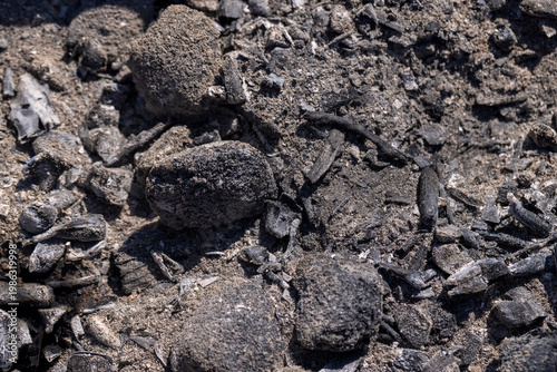 coals and dust that remained after the burning of logs in the campfire, fire background