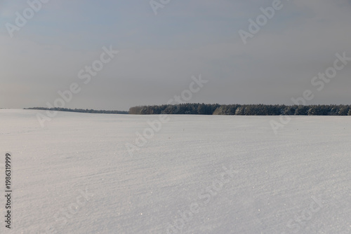 large deep fresh snowdrifts of white color in the field during the winter season, soft snowdrifts after large snowfalls in sunny weather, blue sky and forest on the horizon
