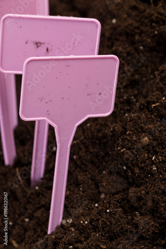 plaques to indicate the type of plants and the variety of plants lies on the black fertile land in the field in the spring season, close up