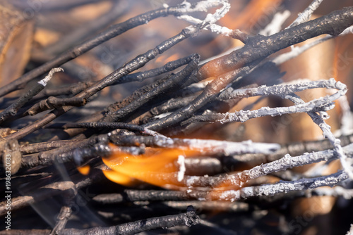 branches and logs burning in a campfire in the park, night time