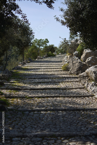 Traditional stone stairway in the Serra de Tramuntana mountains near the Monastery of Lluc. Authentic walking trail surrounded by trees and rocks for hiking and tourism.