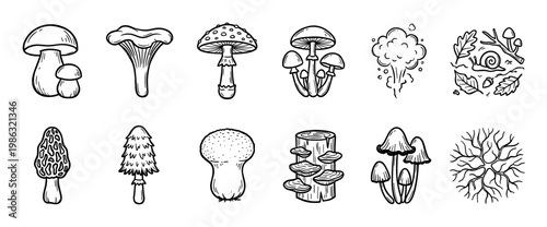 Various hand-drawn mushroom and forest element illustrations are depicted in a charming doodle style, showcasing different fungi types, leaves, and a snail