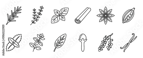 Diverse collection of line art herbs and spices, including rosemary, basil, cinnamon, and vanilla, are depicted in a clean, minimalist outline style, perfect for culinary and cooking themes