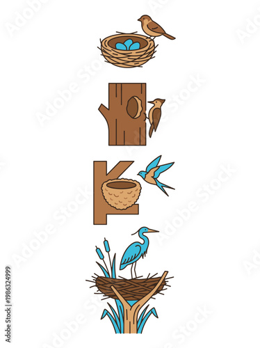 An illustration showing the bird's home and bird activity