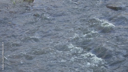 Flowing river water with wavelets and small turbulent breaks around rocks. Shifting light reflects on the moving surface, creating dynamic ripples and white foam across a panoramic view. 