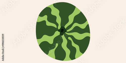 Obraz na płótnie Top view of a whole watermelon with wavy stripes, stylized green fruit vector il