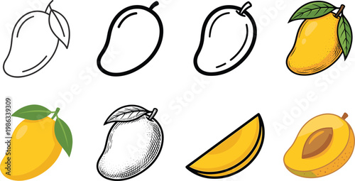 Mango fruit illustrations collection set showing whole fruit in different styles cut and slice exotic tropical