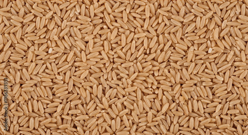 Brown rice grains spread out on a surface showing texture and color of whole grain rice used in various dishes
