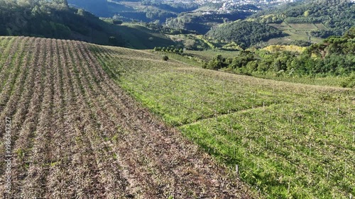 Vista aérea de vinícola no Vale dos Vinhedos em Bento Gonçalves com plantação de uvas organizada destacando produção agrícola e enoturismo na serra gaúcha