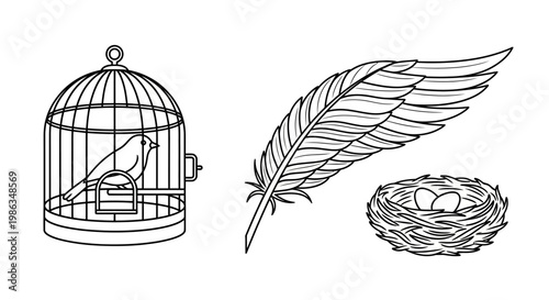 Bird in cage, feather, and nest with eggs. Vintage line art collection. Outline vector illustration for nature and animal concepts.