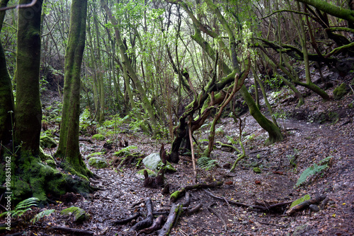 Aktuelle Situation des Klimawandels in Europa