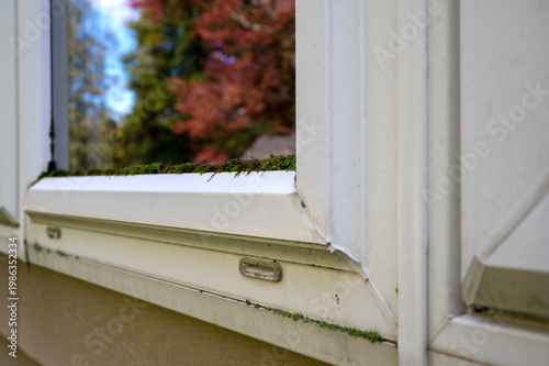 Mold and Moss on Exterior Window Frame. House maintenance and home repair