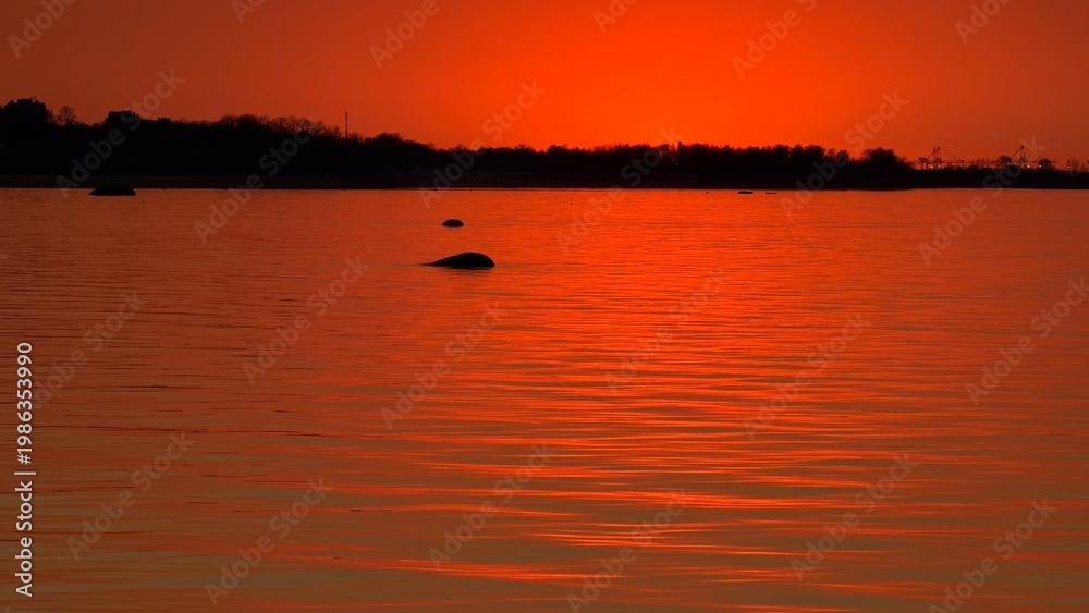 Fototapeta premium Intense red twilight sky over a tranquil sea. Distant dark silhouettes of a forest coast and rocks in the water reflecting the bright evening glow.