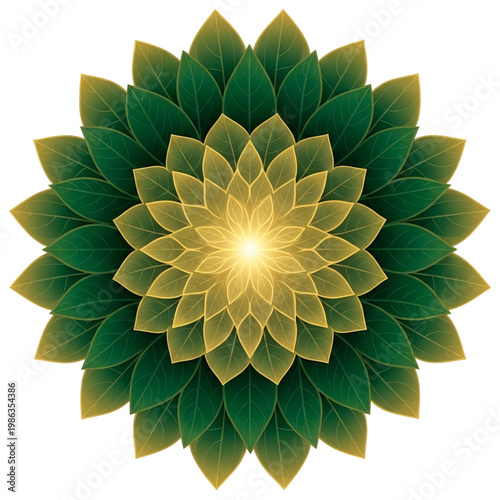 Radial green floral pattern symbolizing balance growth and natural beauty.
