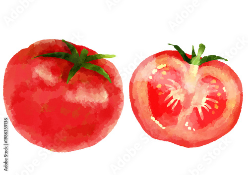 トマトのイラスト　手描き　水彩風