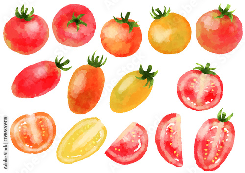 ミニトマトのイラスト　手描き　水彩風