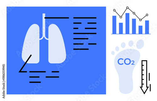 Health, environment, respiratory system, emissions tracking, sustainability, data. Diagram of human lungs, CO2 footprint graph analytics and data. Health and environmental impact
