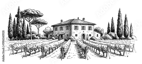 Tuscan villa with vineyard and cypress landscape engraving