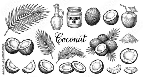 Coconut set with oil jar leaf milk drink and meat engraving