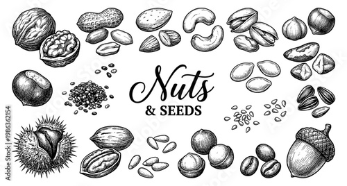 Nut set walnut hazelnut almond peanut pistachio and seed engraving