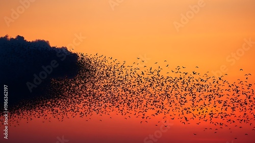 overfed. A murmuration of starlings transitioning from a dense cloud to scattered birds against a dusk sky. wildlife magazines, conservation campaigns, designed for eco-tourism storytelling.
