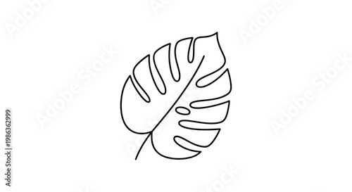 Simple Outline Drawing of Monstera Deliciosa Leaf on White Background