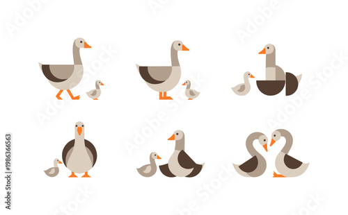 Minimalist flat design geese and goslings set