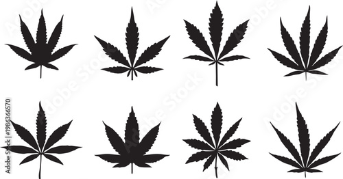 Marijuana Leaf Collection: An array of marijuana leaves are artfully displayed, capturing the essence of the plant's unique form.