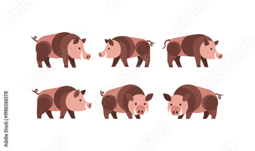 Set of flat stylized pigs in various poses on white background