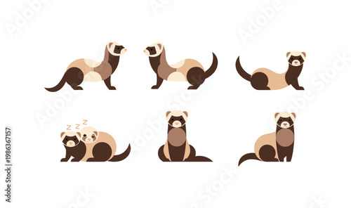 Adorable ferrets in flat style: various poses and expressions