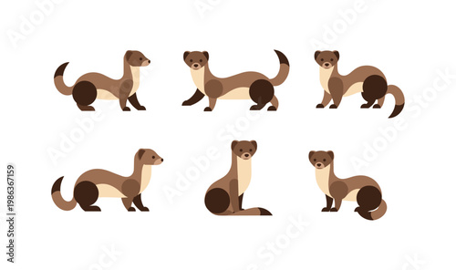 Cute minimalist ferrets collection in flat cartoon style