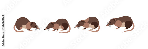 Four cute cartoon mice in a row on white background
