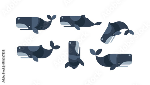 Flat minimalist whale collection: diverse ocean giants in simple design