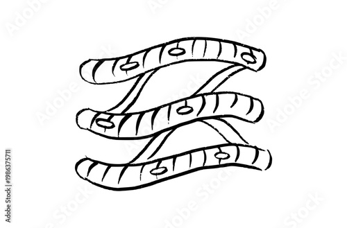 Cells structure sketch