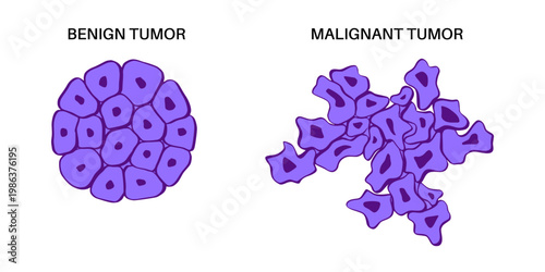 Cells structure sketch