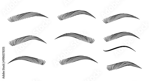 A collection of various eyebrow shapes.