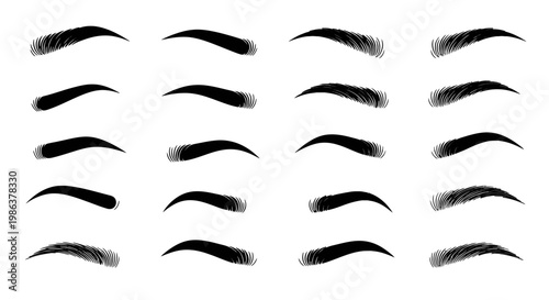 A variety of eyebrow shapes and styles.