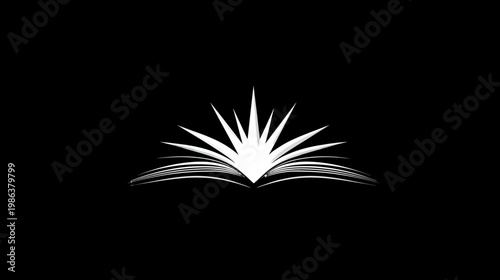 White abstract open book with radiating elements on a dark background, symbolizing knowledge and education