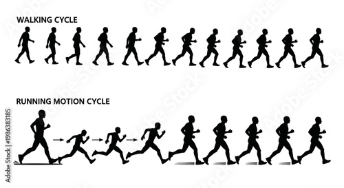 Silhouettes showing the stages of human walking and running motion cycles.