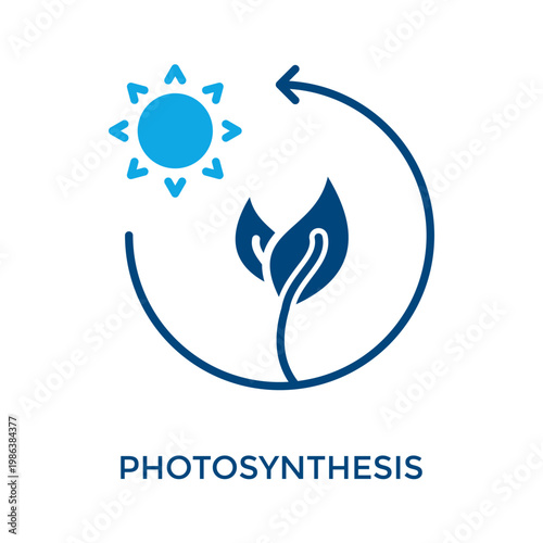 Photosynthesis Icon Dual Tone Style. Vector Illustration For Graphic Design