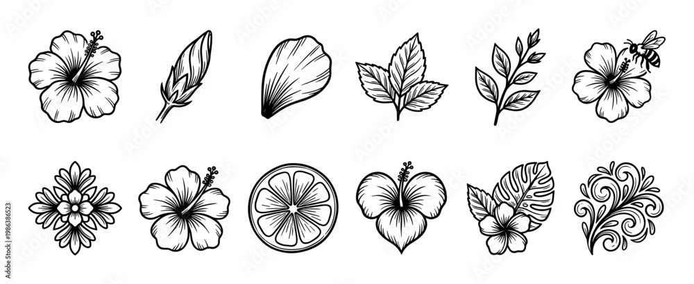 Obraz premium Detailed tropical floral and fruit line art illustrations showcase hibiscus flowers, various leaves, a bee, a citrus slice, and elegant decorative swirls,black and white drawing style