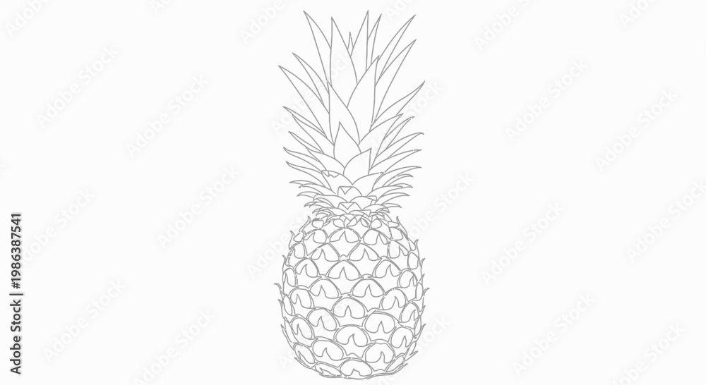 Obraz premium Minimalist Line Art Pineapple Illustration