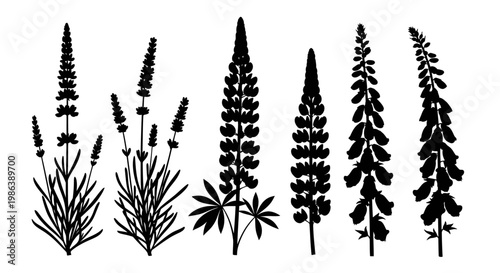 Collection of black flower silhouettes including lavender, lupine, and foxglove.