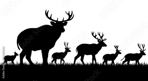 Black Silhouette of a Deer Herd Standing in Grass