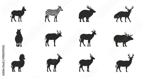 Set of Various Wild Animal Silhouettes