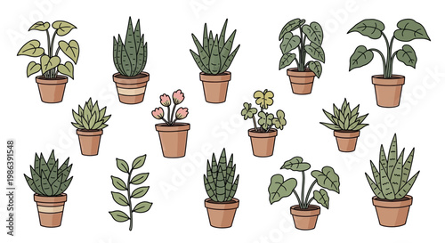 Set of Hand Drawn Potted Houseplants and Succulents