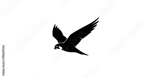 Minimalist Silhouette of a Flying Falcon in Black and White