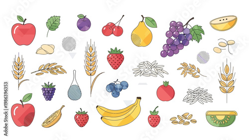 Assorted Fruits and Grains Illustration Set.