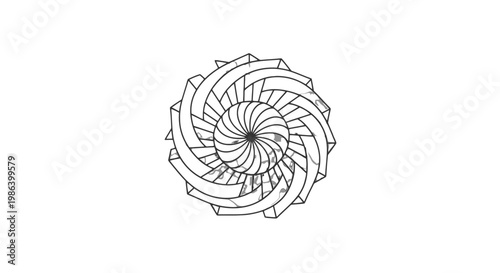 Detailed Illustration of a Nautilus Shell.